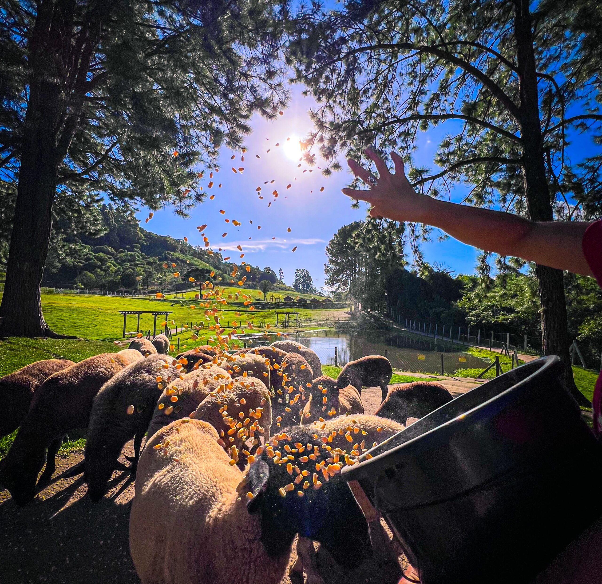 Gramado ganha complexo de 20 mil m² que une hospedagem, pesca esportiva e entretenimento 2 Arena SG Gramado 3 scaled - Acontece Gramado