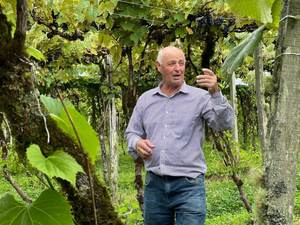 Vindima em Gramado: Vinícolas Benvic e Masotti realizam workshop gratuito neste sábado (24) na Vila do Vinho 2 Euclides Masotti Vinicola Masotti 1 1 - Acontece Gramado