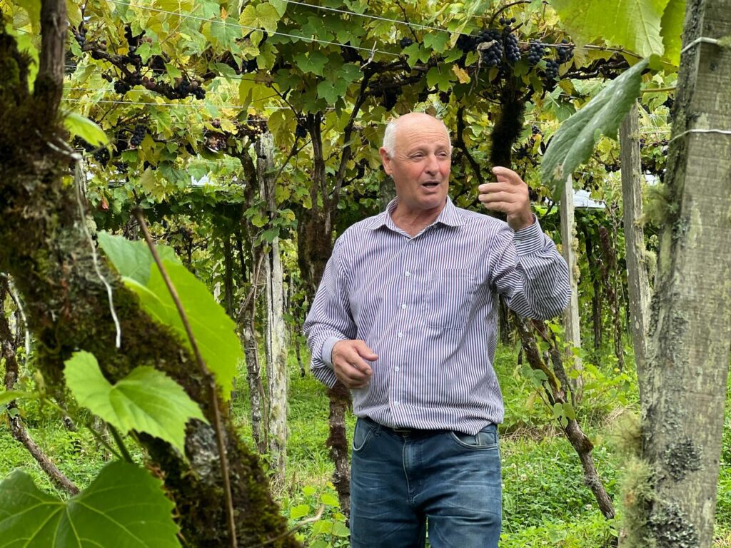 Vindima 2024: Conheça a programação das vinícolas de fevereiro até março em Gramado 5 Euclides Masotti Vinicola Masotti - Acontece Gramado