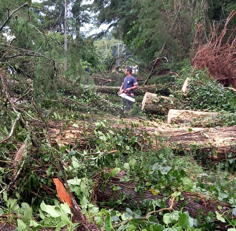 Temporal 2 - Acontece Gramado