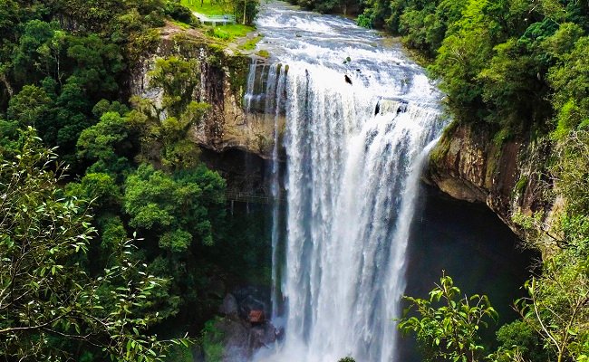 UVA E VINHO ESPECIAL NATUREZA SALTO VENTOSO 1 1 - Acontece Gramado