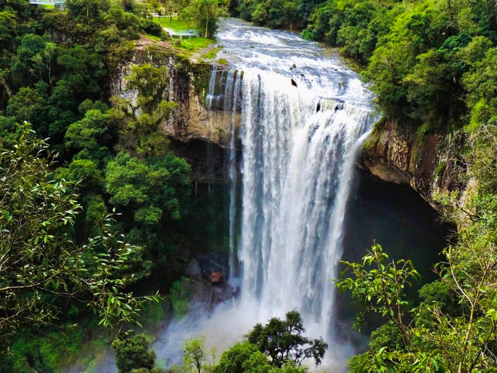 Verão na Serra Gaúcha tem turismo de aventura, cervejarias, vinícolas, cânions e passeio de balão 6 UVA E VINHO ESPECIAL NATUREZA SALTO VENTOSO 1 2 - Acontece Gramado