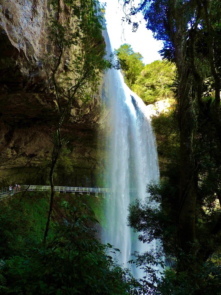 UVA E VINHO ESPECIAL NATUREZA SALTO VENTOSO 2 - Acontece Gramado