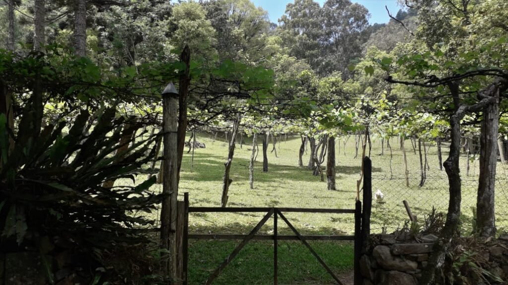 Cantibello: Cantina italiana em casa centenária encanta na Linha 28 em Gramado 4 cantibello 5 - Acontece Gramado