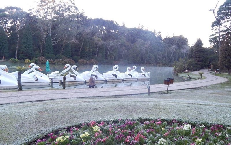 Metsul alerta para geada generalizada e risco de congelamento na Serra Gaúcha 1 geada gramado - Acontece Gramado