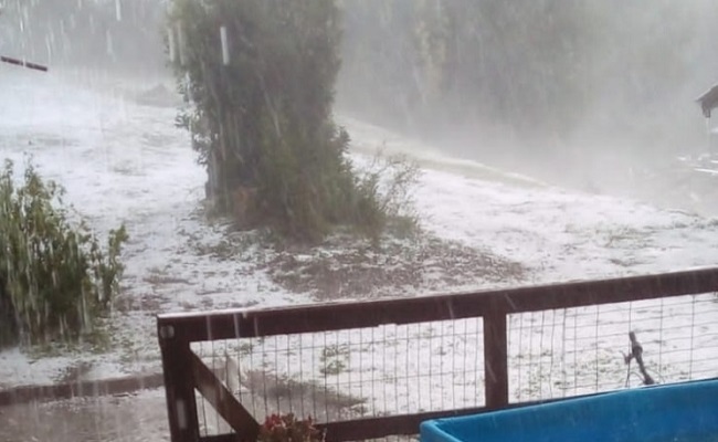 Casas destelhadas e telhados perfurados pelo granizo. Moradores do Salto pedem ajuda! 1 granizo - Acontece Gramado