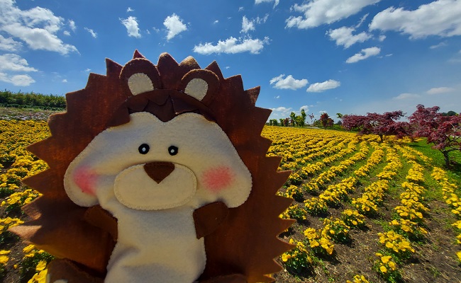 matria - Acontece Gramado