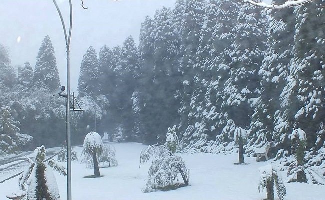 Massa de ar polar pode trazer neve para Gramado na próxima semana 1 neve 3 1 - Acontece Gramado