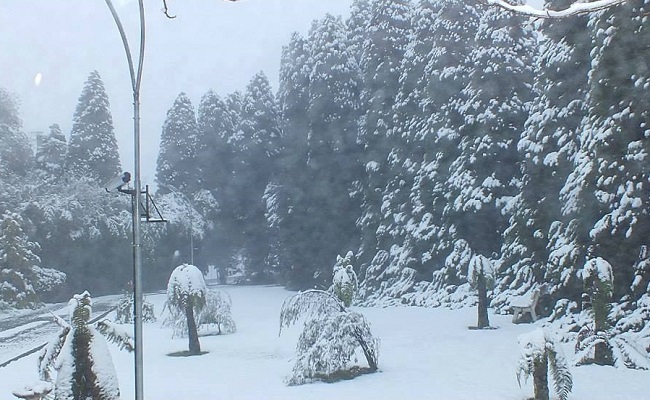 Previsões indicam neve para Gramado esta semana 1 neve 3 2 - Acontece Gramado