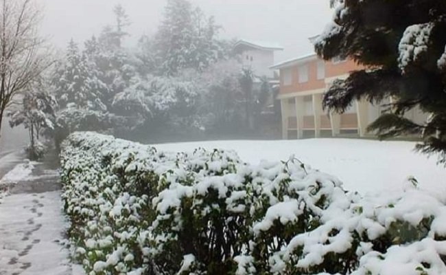 Gramado e Canela em alerta para neve: Aviso do Inmet aponta para precipitação na madrugada 1 neve 8 - Acontece Gramado