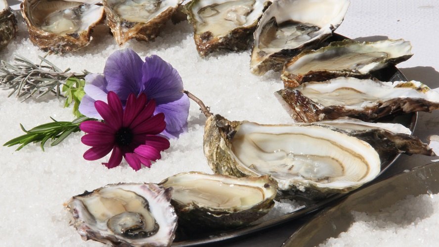 Gourmet Hunters: Tendência, #FoodPorn. 1 ostras - Acontece Gramado