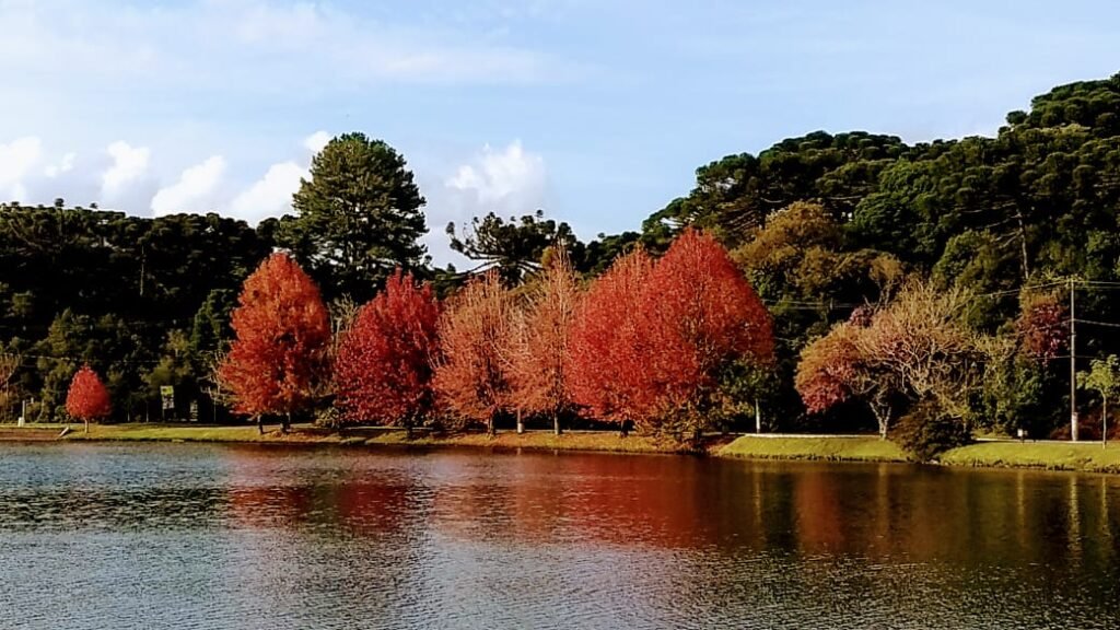 sao chico 5 - Acontece Gramado