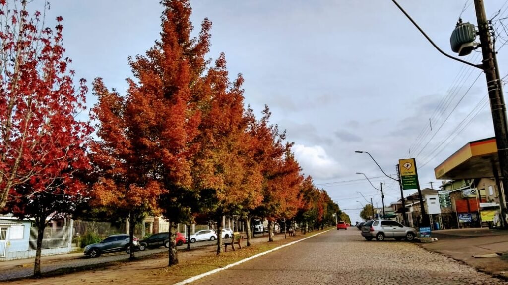 sao chico3 - Acontece Gramado