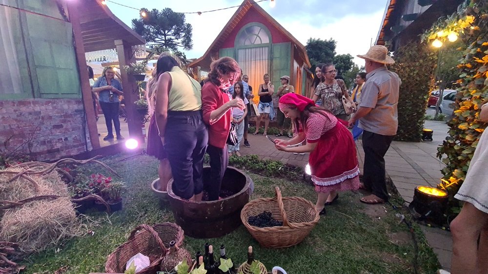 Vindima em Gramado será de 08 fevereiro a 03 março. Colheita da safra da uva deve chegar a 1,5 tonelada 1 vindima gramado 1 - Acontece Gramado