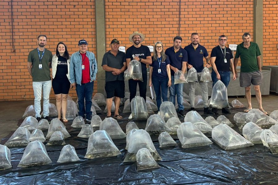 Distribuicao de Alevinos - Acontece Gramado