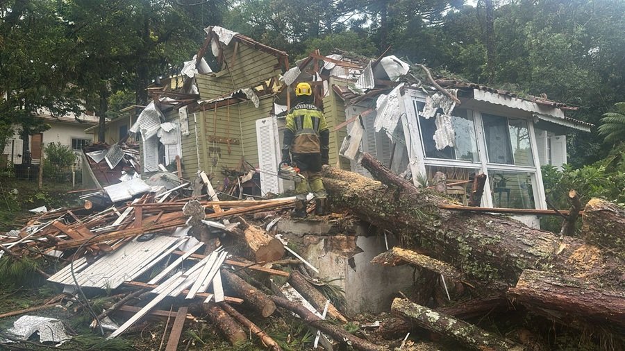 Queda de árvore destrói parte de residência em Canela durante temporal 1 Arvore canela - Acontece Gramado