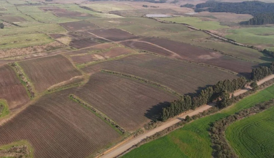 R$ 145 milhões: Consórcio Artec vence licitação e Aeroporto de Vila Oliva fica próximo do início das obras 1 aeroporto - Acontece Gramado