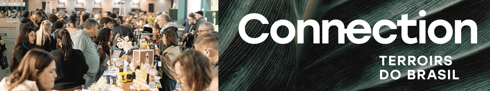 Banner-1600x300