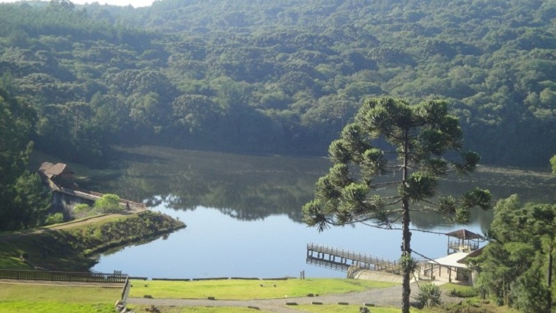 Gramado e Governo do RS firmam parceria de R$ 9,4 milhões para criar Centro de Triagem de Animais Silvestres 1 parque dos pinheiros - Acontece Gramado