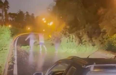 Temporais causam estragos e queda de árvores em Gramado e Canela 1 Temporal - Acontece Gramado