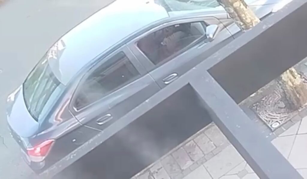 Homem de Nova Petrópolis é preso em flagrante por importunação sexual no Centro de Gramado 1 WhatsApp Image 2026 10 07 at 15.54.28 - Acontece Gramado